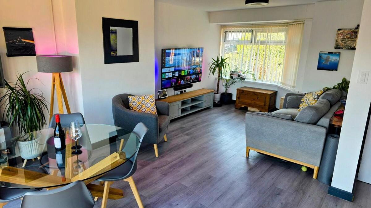 Stylish, Modern *